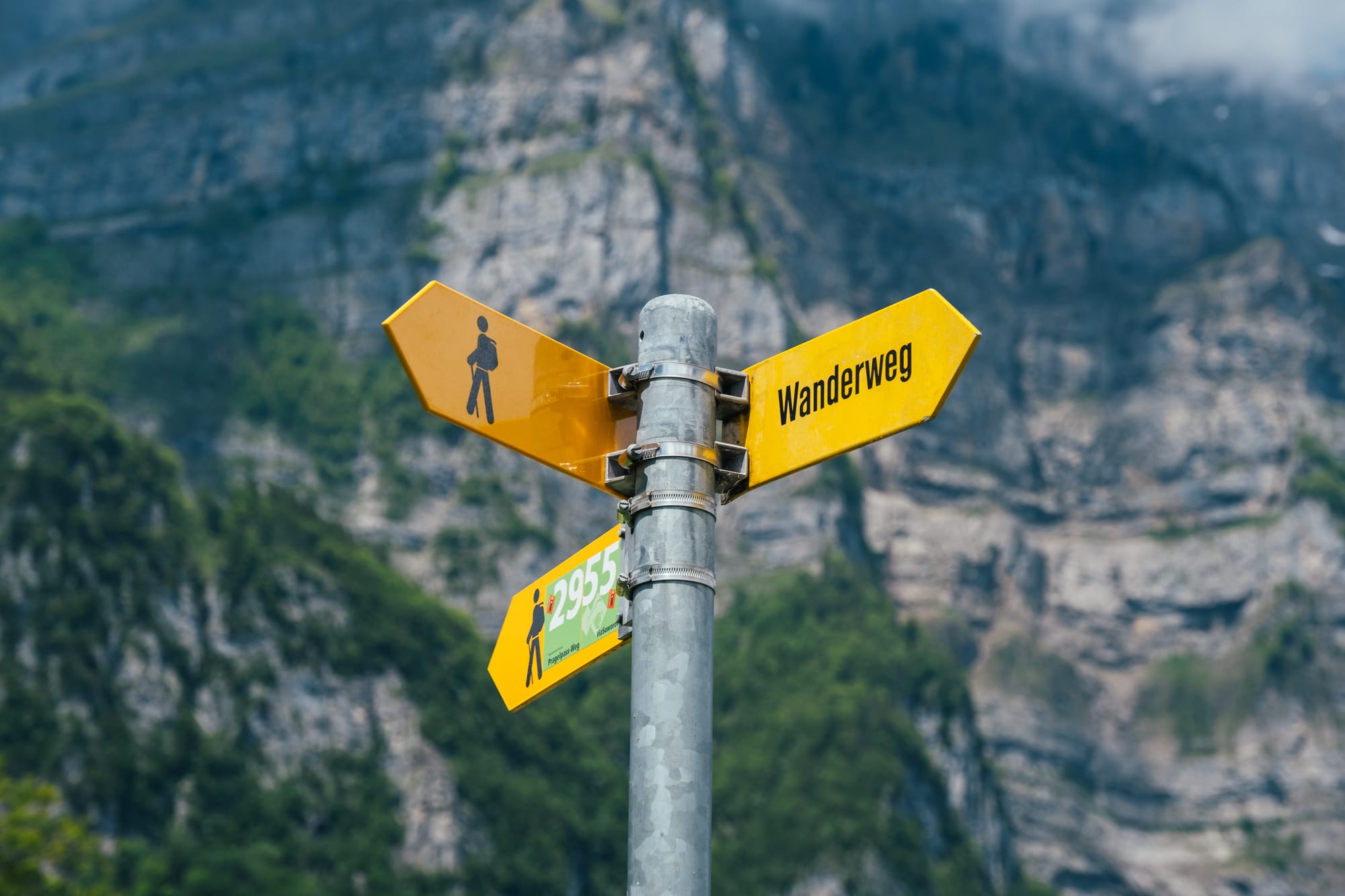 How Professional Relationships Can Guide Your Career Path